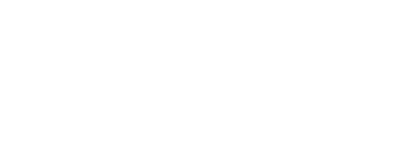 Malapane Consulting